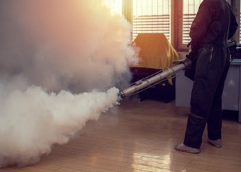 Fabrika İlaçlama Neden Zorunludur? Üretim Alanlarında Kalıcı Haşere Kontrolü