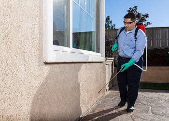 Apartman İlaçlama ile Ortak Yaşam Alanlarında Haşere Sorununa Son